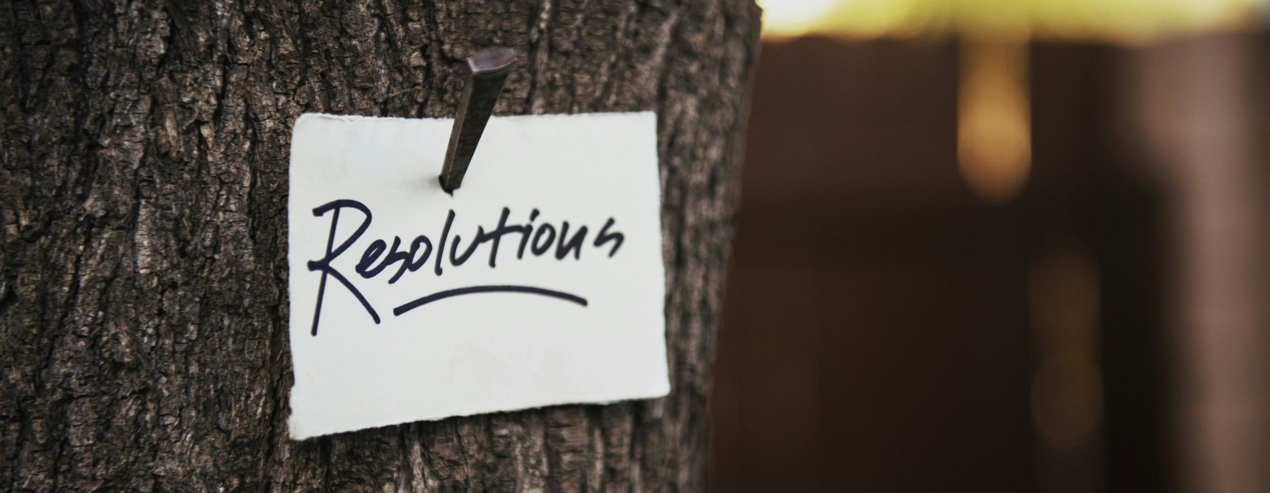 Handwritten note reading "Resolutions" pinned to a tree trunk